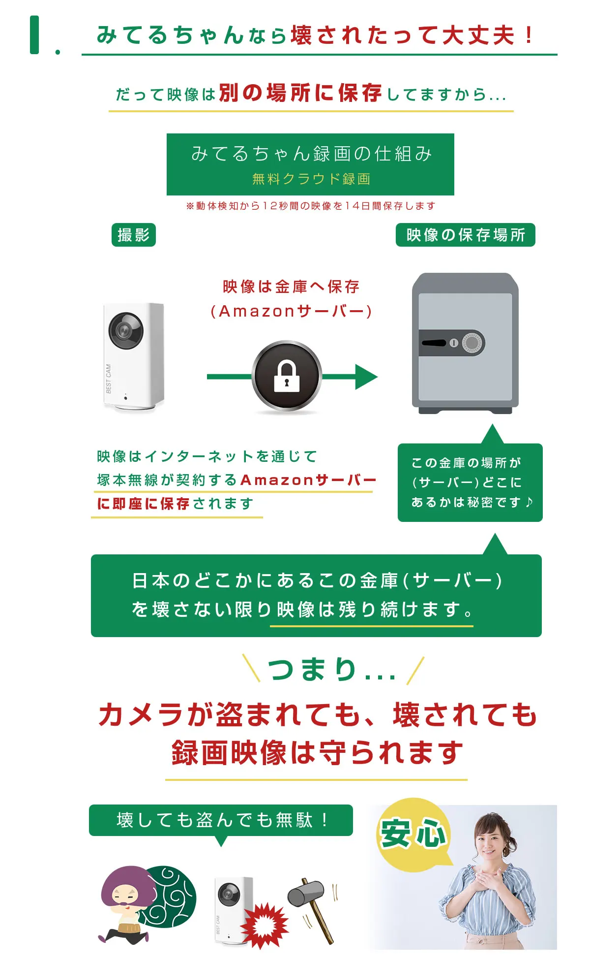 防犯カメラ ペット監視カメラ みてるちゃん 自動追跡 Wtw 塚本無線