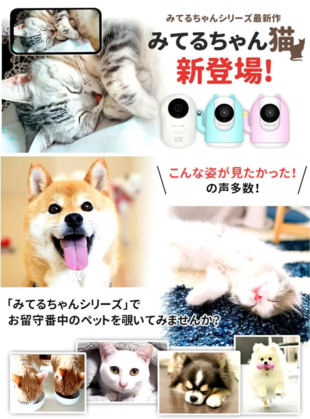 ペット監視カメラ みてるちゃん猫 自動追跡【WTW 塚本無線】