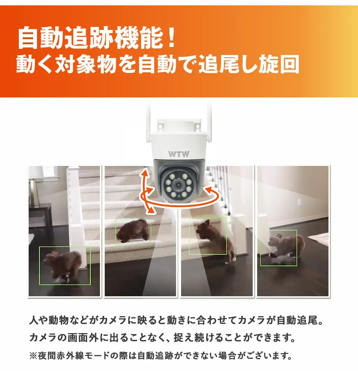 �C�[�O�� �S�}�����SX2 WTW-E2305SX2 �p���`���g�J����