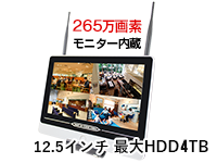 365万画素 WTW-EG2542LHAとIPカメラのフルセット。塚本無線